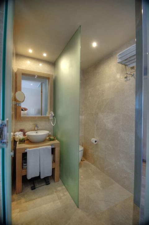 Standart Oda | Bathroom | Shower, rainfall showerhead, free toiletries, hair dryer