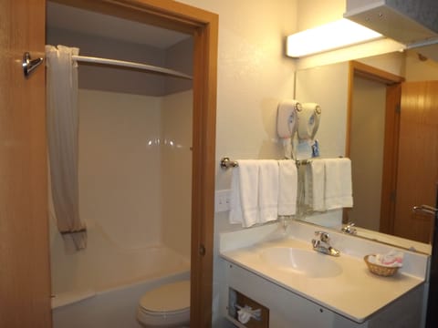 Combined shower/tub, free toiletries, hair dryer, towels