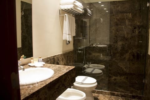 Junior Suite | Bathroom | Free toiletries, hair dryer, bathrobes, bidet