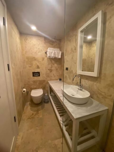 Standard Room | Bathroom | Shower, hydromassage showerhead, free toiletries, hair dryer