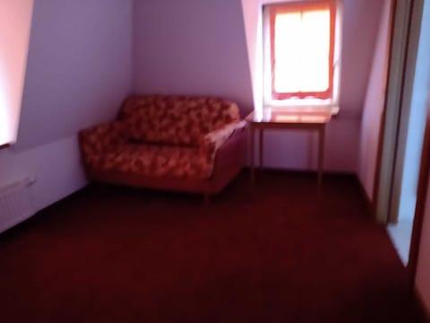 Classic Double Room Single Use | Individually furnished, desk, free WiFi