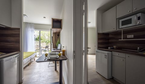 Premium Studio | Private kitchenette | Mini-fridge, microwave, stovetop, coffee/tea maker