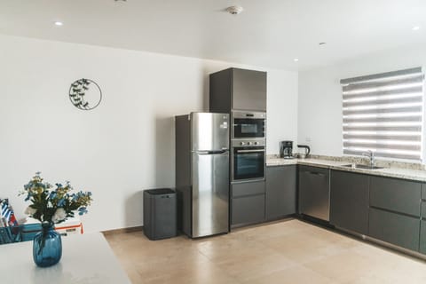 Deluxe Apartment | Private kitchen | Microwave, oven, stovetop, dishwasher