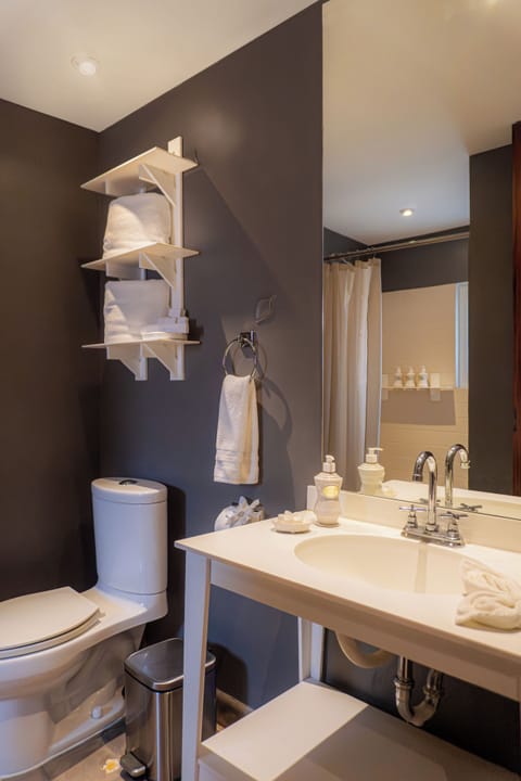 Standard King | Bathroom | Shower, free toiletries, towels, soap
