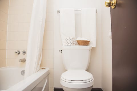 Combined shower/tub, free toiletries, hair dryer, towels