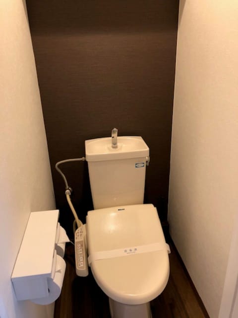 Separate tub and shower, free toiletries, hair dryer, towels