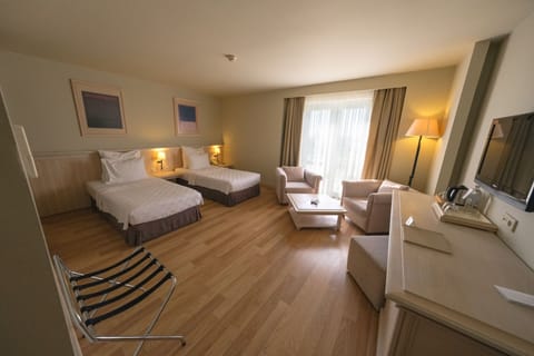 Standard Double or Twin Room | Minibar, in-room safe, soundproofing, free WiFi