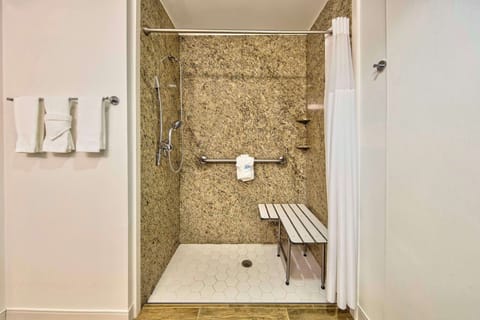 Room, Accessible, Non Smoking | Bathroom shower