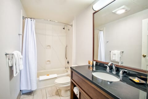 Combined shower/tub, free toiletries, hair dryer, towels