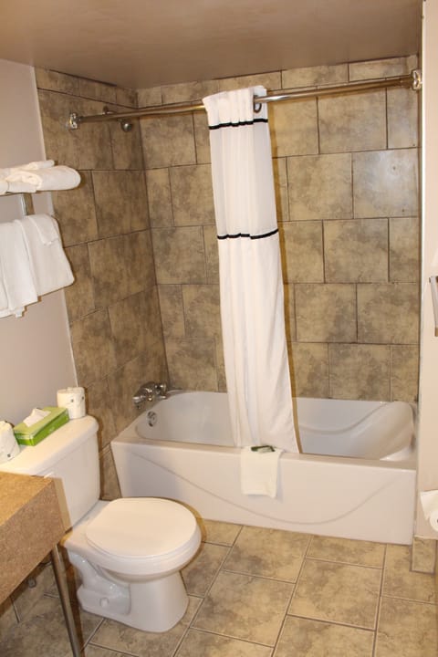 Combined shower/tub, free toiletries, hair dryer, towels