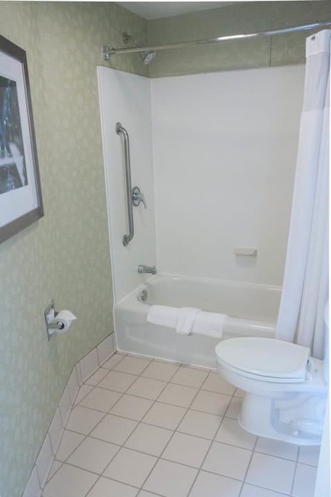 Combined shower/tub, free toiletries, hair dryer, towels