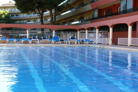 Outdoor pool, sun loungers