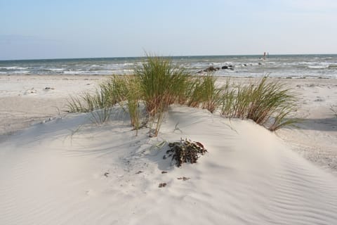 On the beach