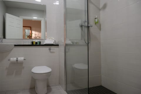 Executive Double Room | Bathroom | Combined shower/tub, free toiletries, towels