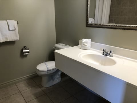 Combined shower/tub, free toiletries, hair dryer, towels