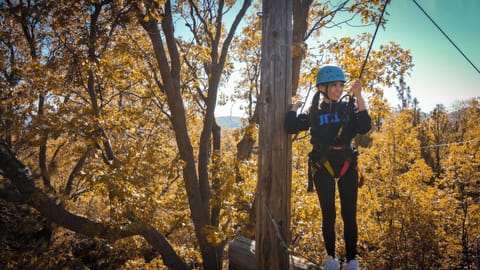 Ropes course (team building)