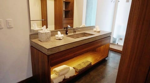 Suite estudio ejecutiva B | Bathroom | Shower, bathrobes, towels, soap