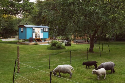 Deluxe Room, Ensuite (The Wriggly Tin) | Exterior