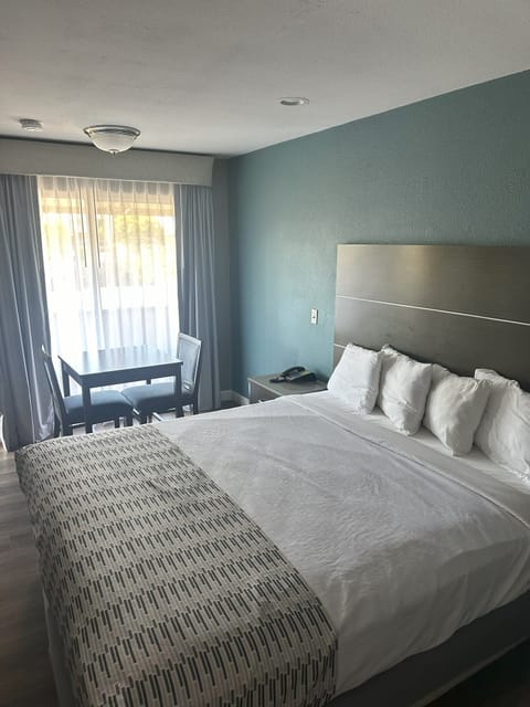 Single Room, 1 King Bed, Non Smoking | Desk, blackout drapes, iron/ironing board, free WiFi