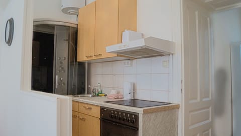 Apartment | Private kitchen | Fridge, microwave, oven, stovetop