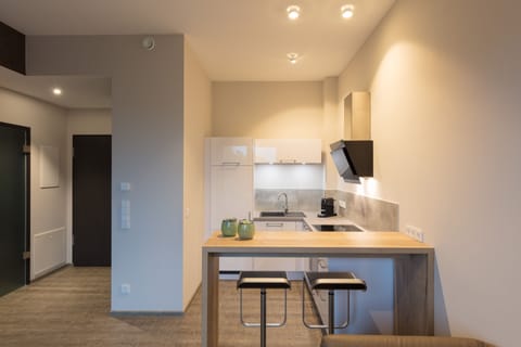 Superior Apartment | Private kitchen | Oven, stovetop, dishwasher, electric kettle