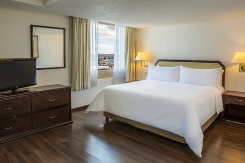 Superior Room | In-room safe, desk, iron/ironing board, free WiFi