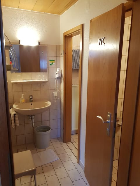 Triple Room | Bathroom | Shower, hair dryer, towels, soap