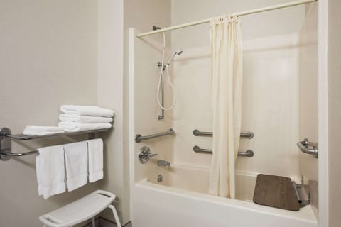 Combined shower/tub, free toiletries, hair dryer, towels