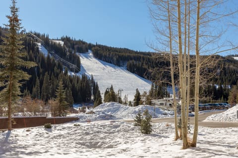 Condo, 1 Bedroom | Snow and ski sports