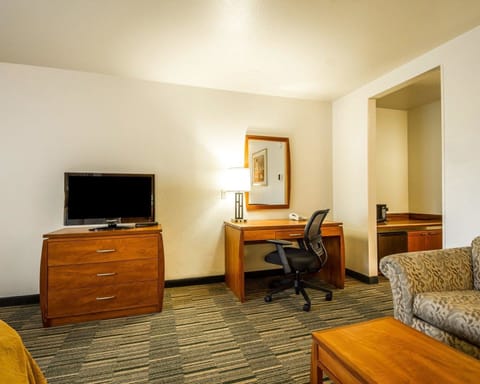 Executive Room, 1 King Bed | In-room safe, desk, blackout drapes, iron/ironing board