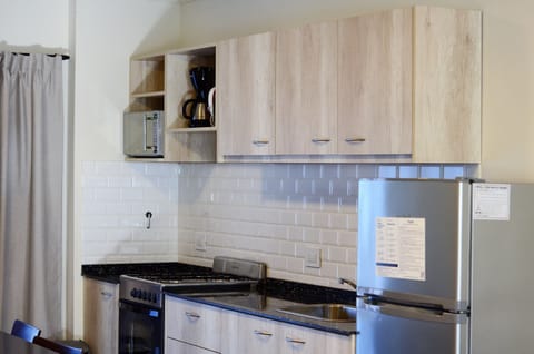 Superior Apartment | Private kitchen | Full-size fridge, microwave, toaster, toaster oven