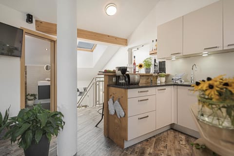 Executive Penthouse, 4 Bedrooms, Sauna (Private Spa, rooftop Terrace) | Private kitchen | Full-size fridge, microwave, oven, stovetop