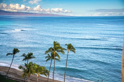 Studio, Ocean View (Unit 1117) | Balcony view