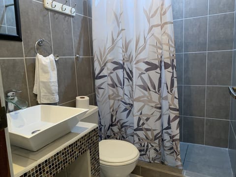 Standard Double Room | Bathroom | Shower, towels