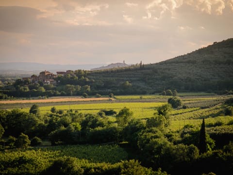 Villa | View from property