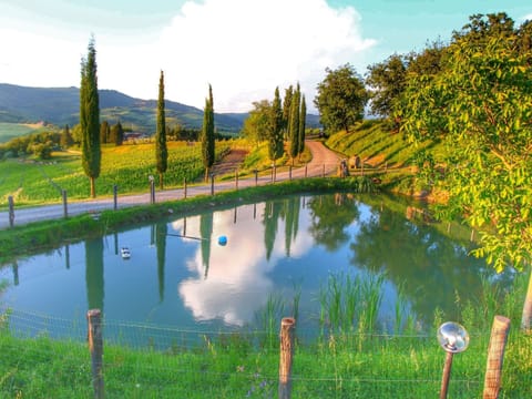 Apartment | View from property