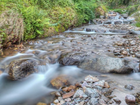 House | View from property