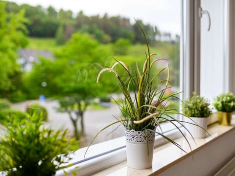 House | Interior detail