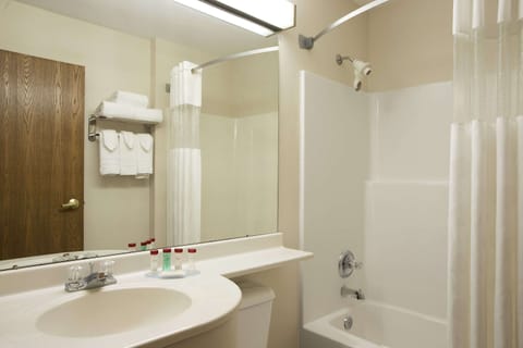 Combined shower/tub, free toiletries, hair dryer, towels