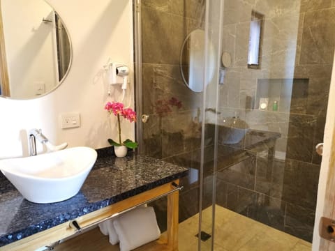 Royal Room | Bathroom | Free toiletries, hair dryer, bidet, towels