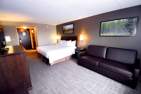 Deluxe Room, 1 King Bed with Sofa bed | Desk, laptop workspace, blackout drapes, soundproofing