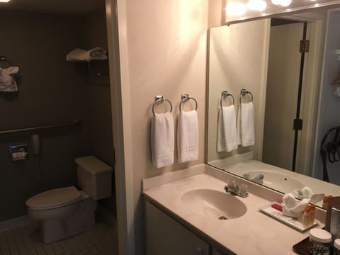 Combined shower/tub, hair dryer, towels