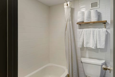 Combined shower/tub, free toiletries, hair dryer, towels