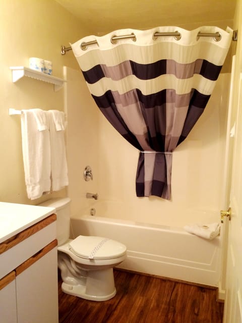 Combined shower/tub, deep soaking tub, hair dryer, towels