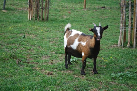 Children's activities