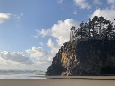 Beach nearby, white sand