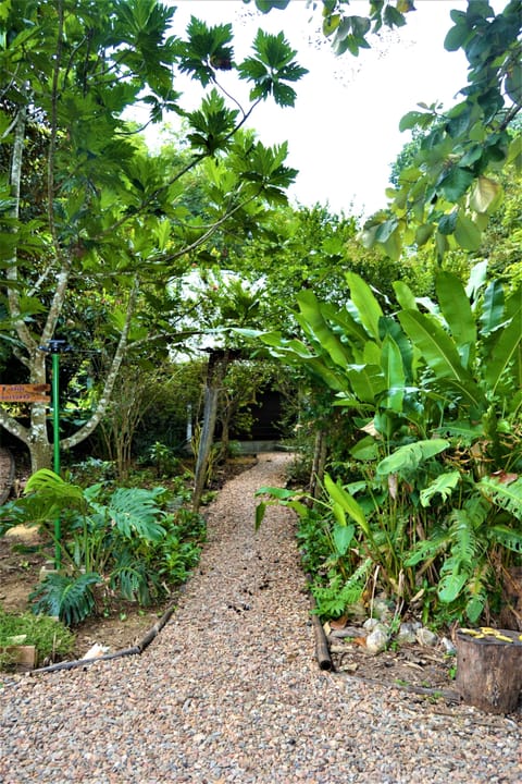 Cabin, 1 Bedroom, Smoking, Patio | Property entrance