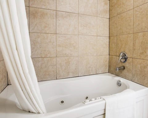 Combined shower/tub, free toiletries, hair dryer, towels