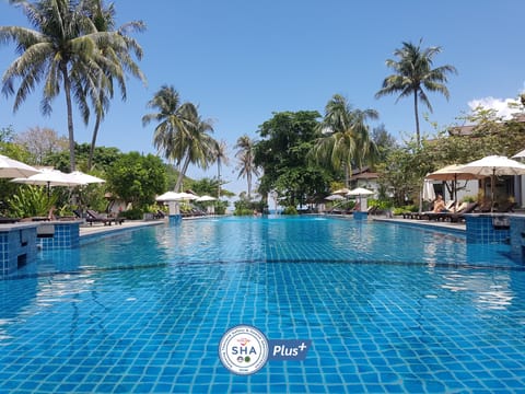 Outdoor pool, pool umbrellas, sun loungers