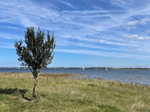 House | Miscellaneous